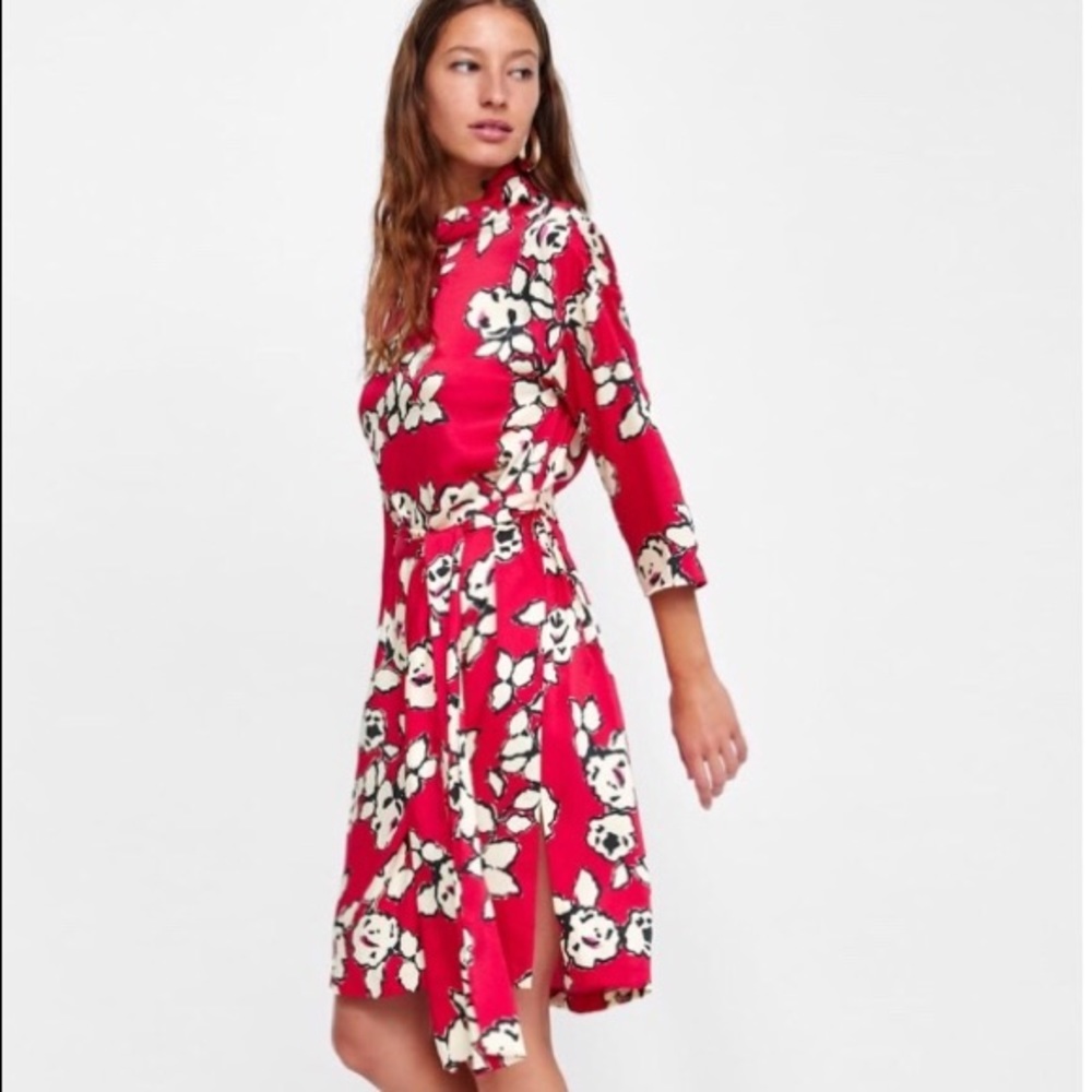 Beautiful Zara Dress